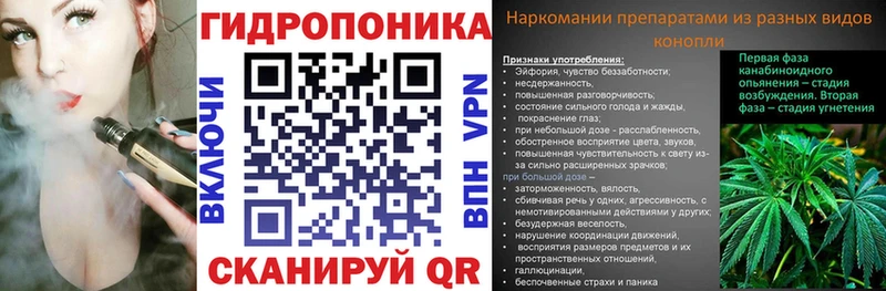 Шишки марихуана ГИДРОПОН  Мглин 